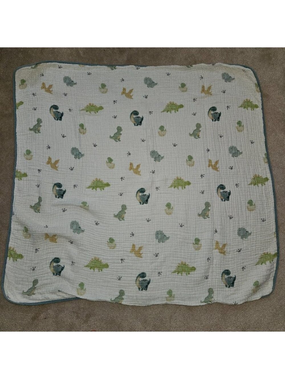 Addison Belle 100% Organic Cotton Muslin Blanket 39x42 Dinosaur Print READ